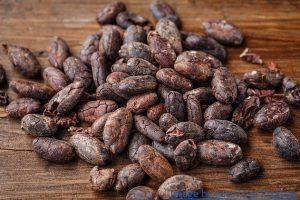 Cocoa beans